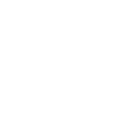 white pickleball icon